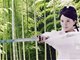 《神雕侠侣》主题曲MV唯美歌姬阿兰版《真爱无双》