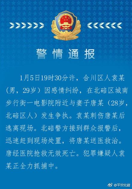 重庆男子因感情纠纷当街刺死妻子 警方：正抓捕