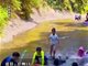 广东13岁男孩野外玩水后高烧看到小人跳舞