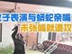 河南一婚礼女子表演与蟒蛇亲嘴 未张嘴就遭攻击